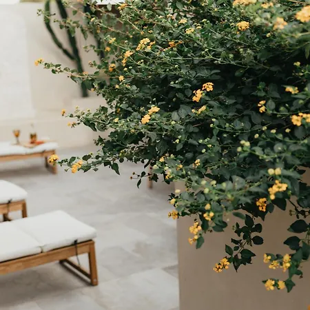 Casa Ana *